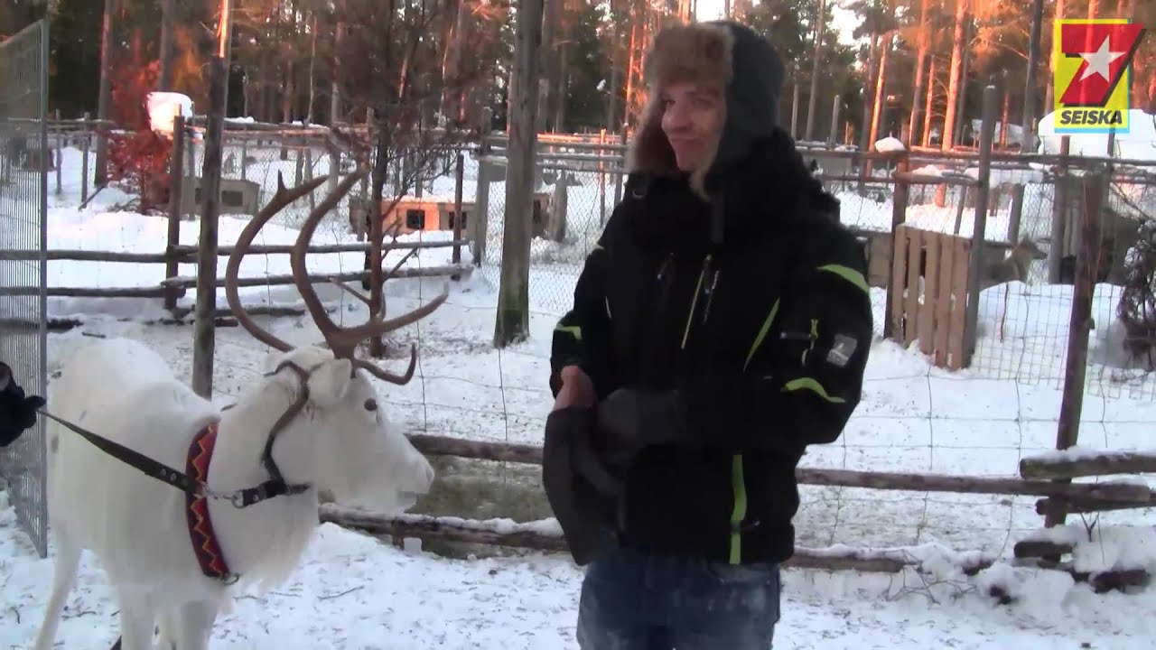 Adam Lambert’s boyfriend Sauli Koskinen on a husky-ride in Finland!