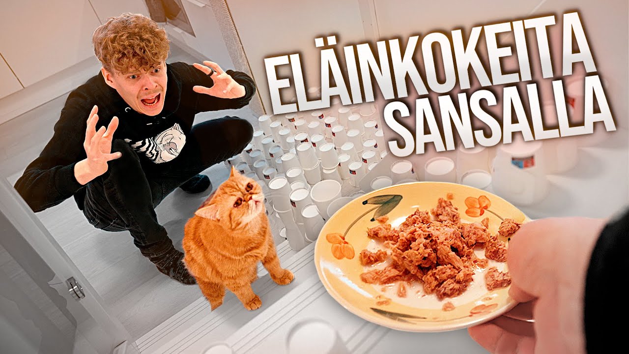 Eläinkokeita Sansalla!