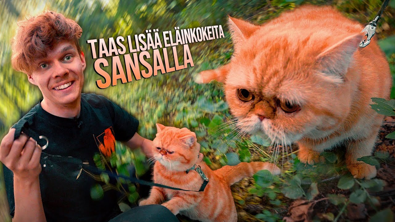 Taas lisää eläinkokeita Sansalla!