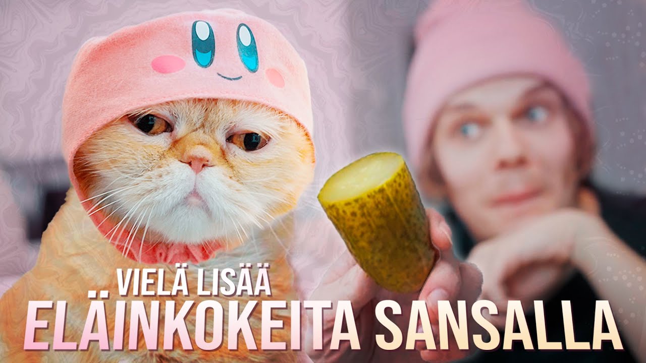 Vielä lisää eläinkokeita Sansalla!