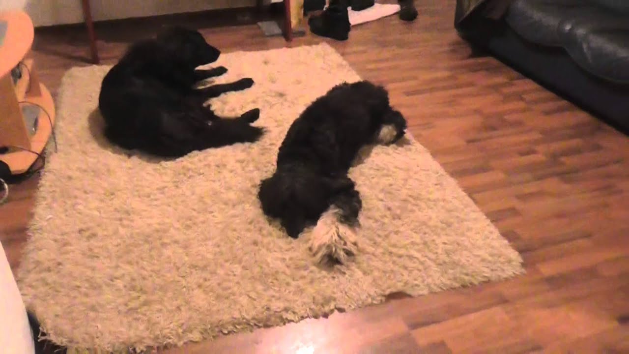 #IHANAA #HUOMENTA #KAHVI #PIRISTÄÄ