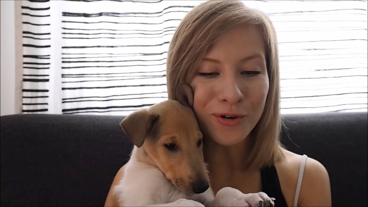 Soikun erikoisterveiset tanssikulisseista | Tanssii tähtien kanssa | MTV3