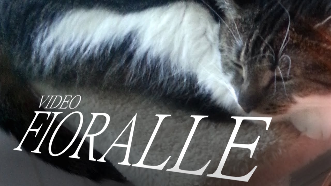 Video Fioralle