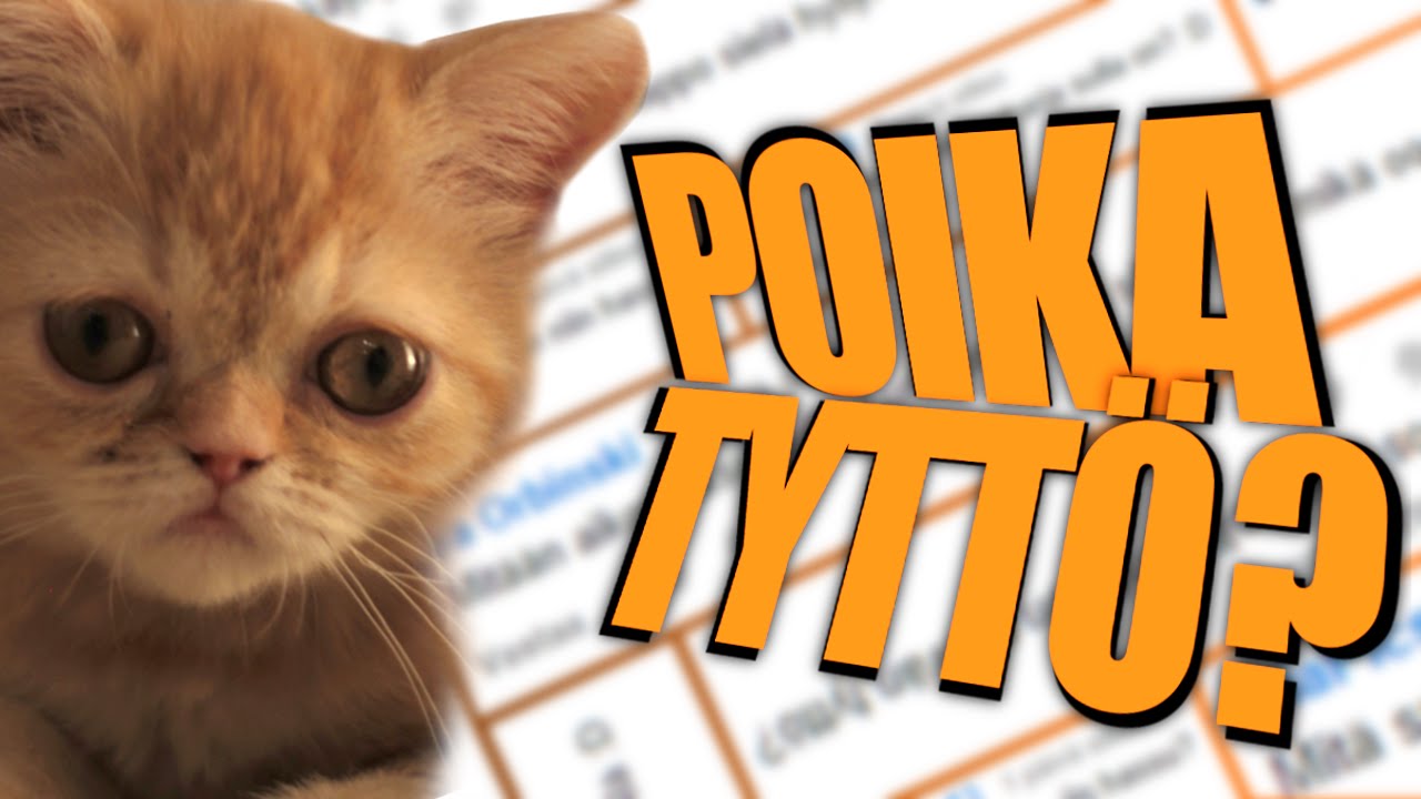 #KysySansalta: Poika vai Tyttö?