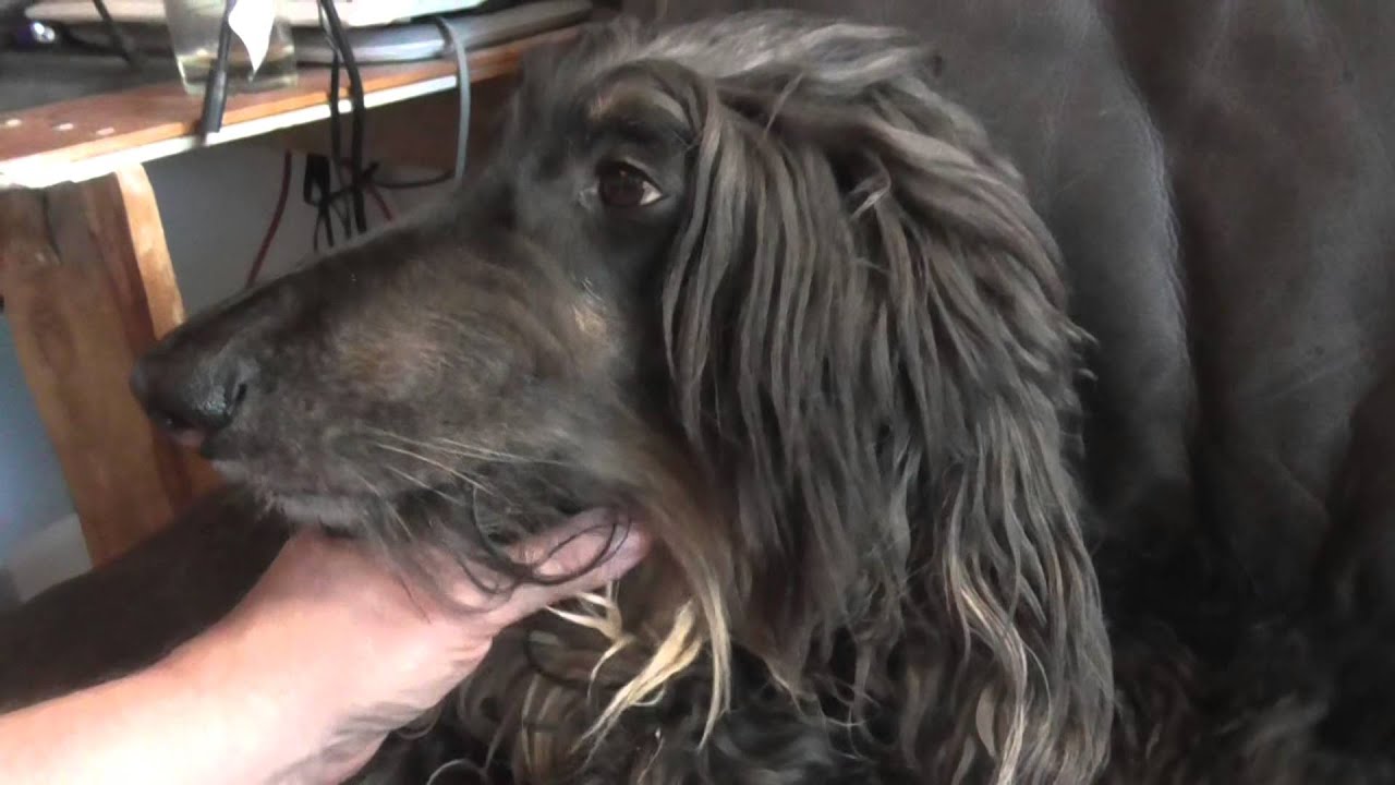 rontti ei tästä tykkää