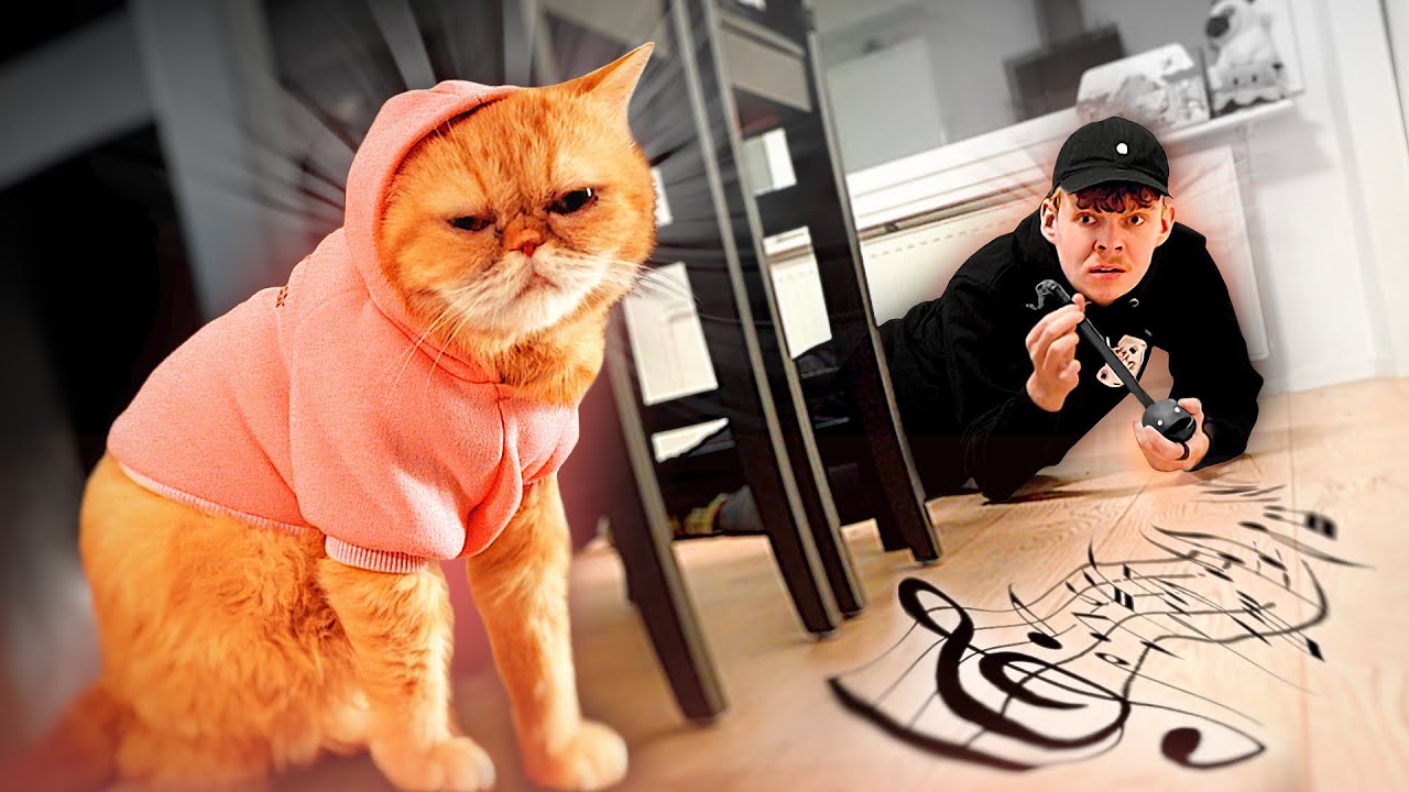 Naurettavia eläinkokeita Sansalla!