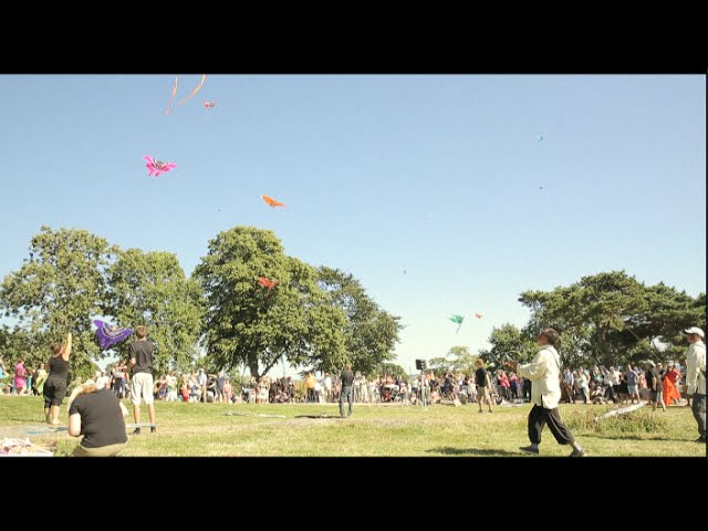 Basson Kaupunkireportaasi: Leijafestivaali