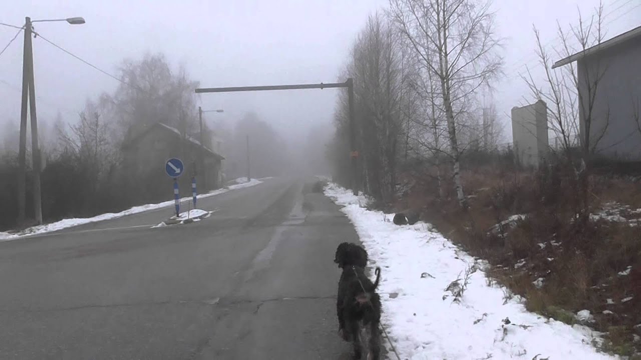 Rontin kanssa ulkona